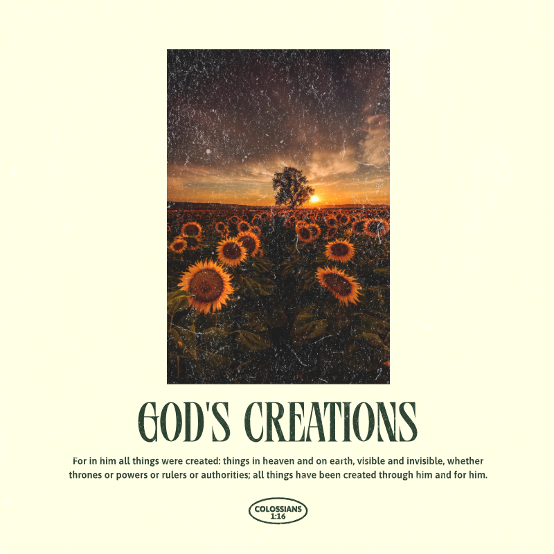 God’s Creations